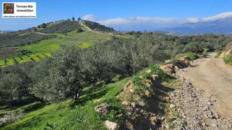 Kouses Kreta, Kouses: Baugrundstück 3.600 m² mit Baugenehmigung Grundstück kaufen